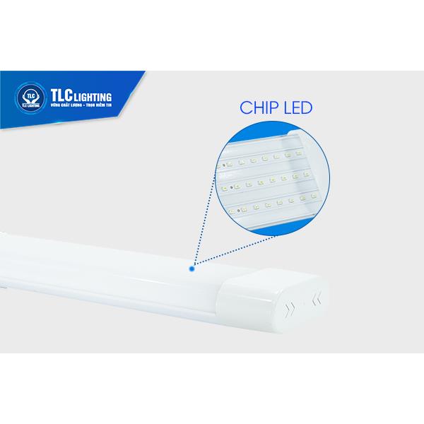 Đèn Led tuýp Oval TLC-TOV-62W