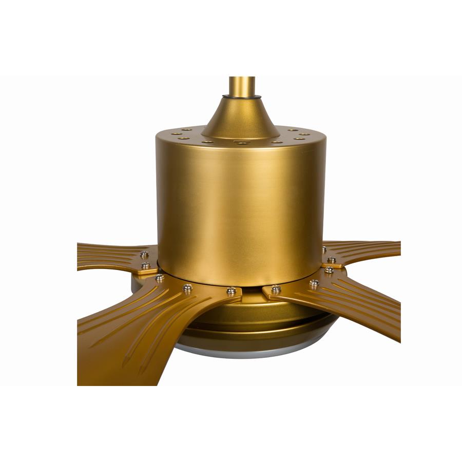 Quạt trần đèn 5 cánh AC Electric ACF03D665-G Ø167,6cm