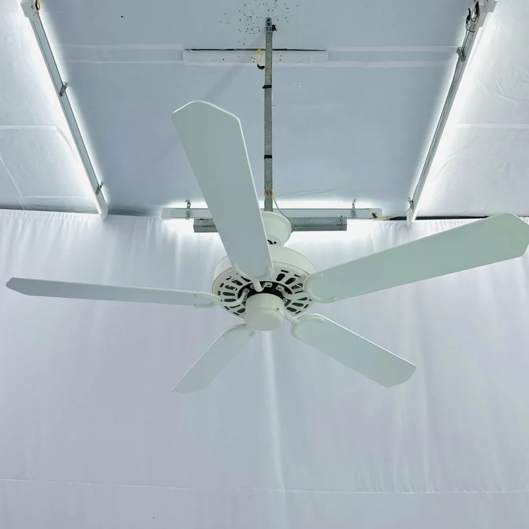 Quạt trần 5 cánh gỗ 355 Decor QT34E Ø132cm