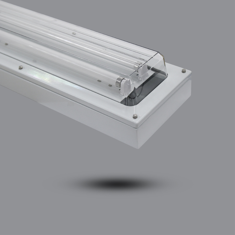 Đèn phòng chống nổ EEW BHY/X (2 bóng x 1.2m)