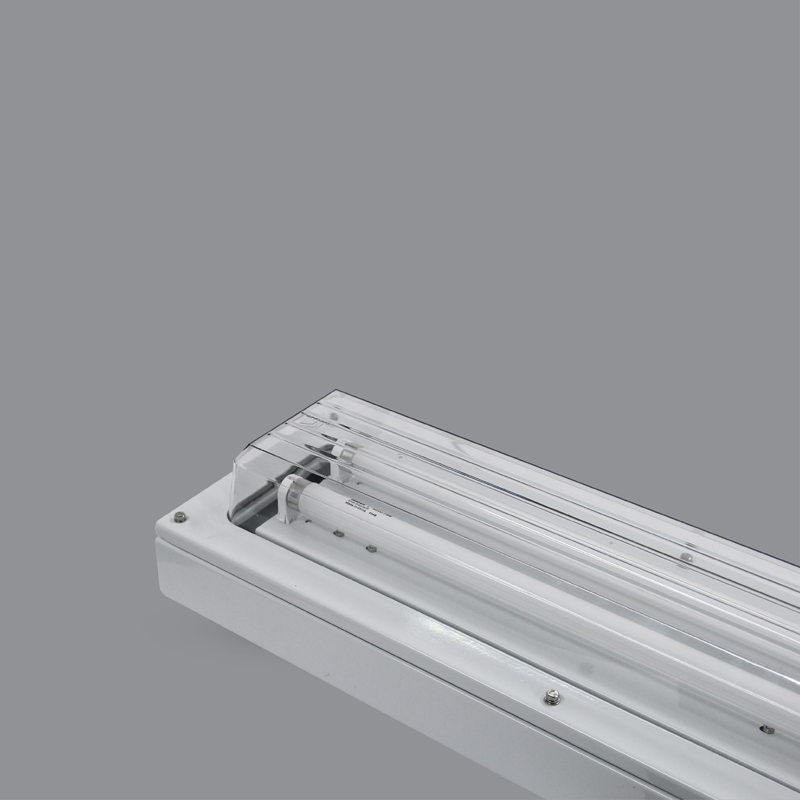 Đèn phòng chống nổ EEW BHY/X (2 bóng x 1.2m)