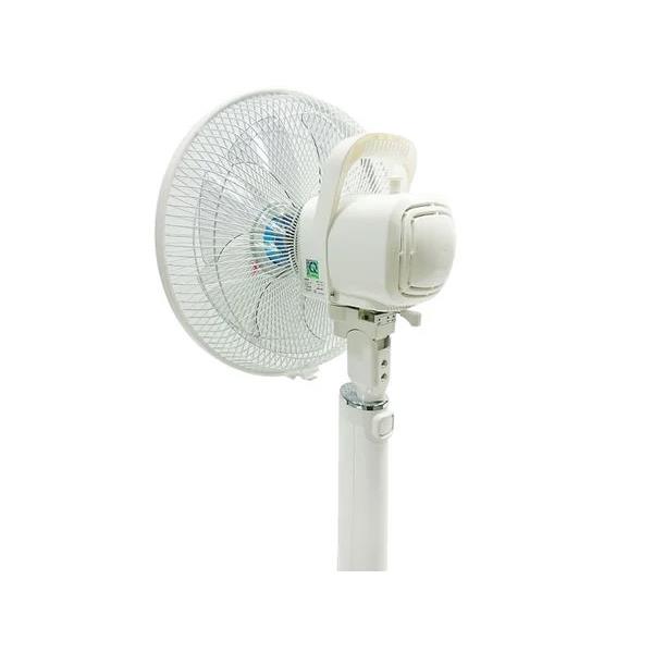 Quạt Lửng không có điều khiển và hẹn giờ LiOA QL-300