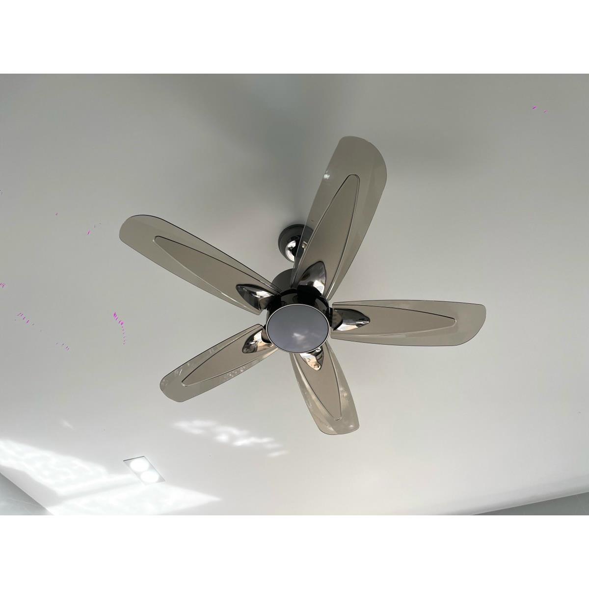 Quạt trần đèn 5 cánh Veronia QT-2756 Ø1200*H500