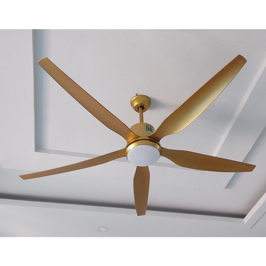 Quạt trần đèn 5 cánh AC Electric ACF03D665 Ø1676mm