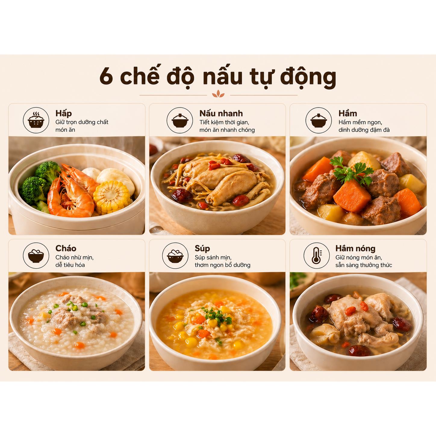 Nồi nấu chậm Nanoco NSC2175P