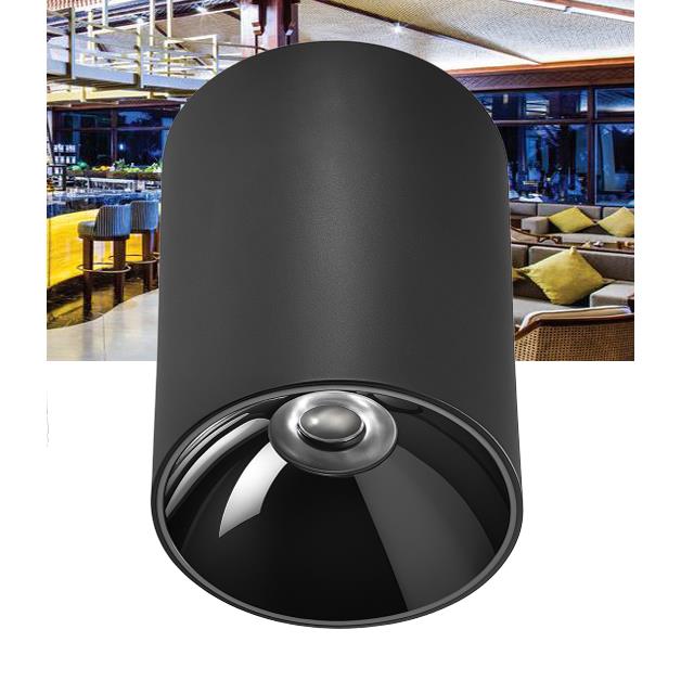 Đèn lon ốp trần VinaLed V4CLF-15 15W