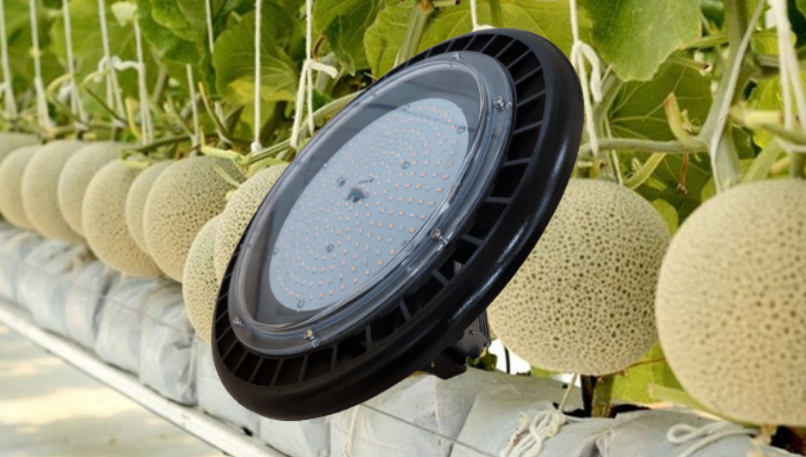 Đèn UFO330 150W/WBU chuyên dụng chiếu sáng cây dưa lưới