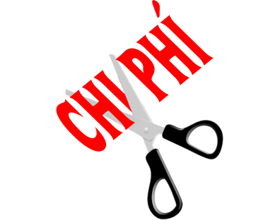 Cong Tac Cam Ung Vi Song Rs03b (15)