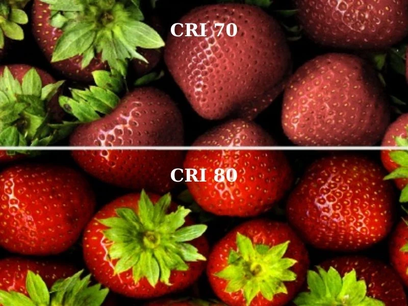 đèn LED Downlight Âm Trần Khẩn Cấp AT07.KC còn có chất lượng ánh sáng cao với chỉ số CRI lên đến 80