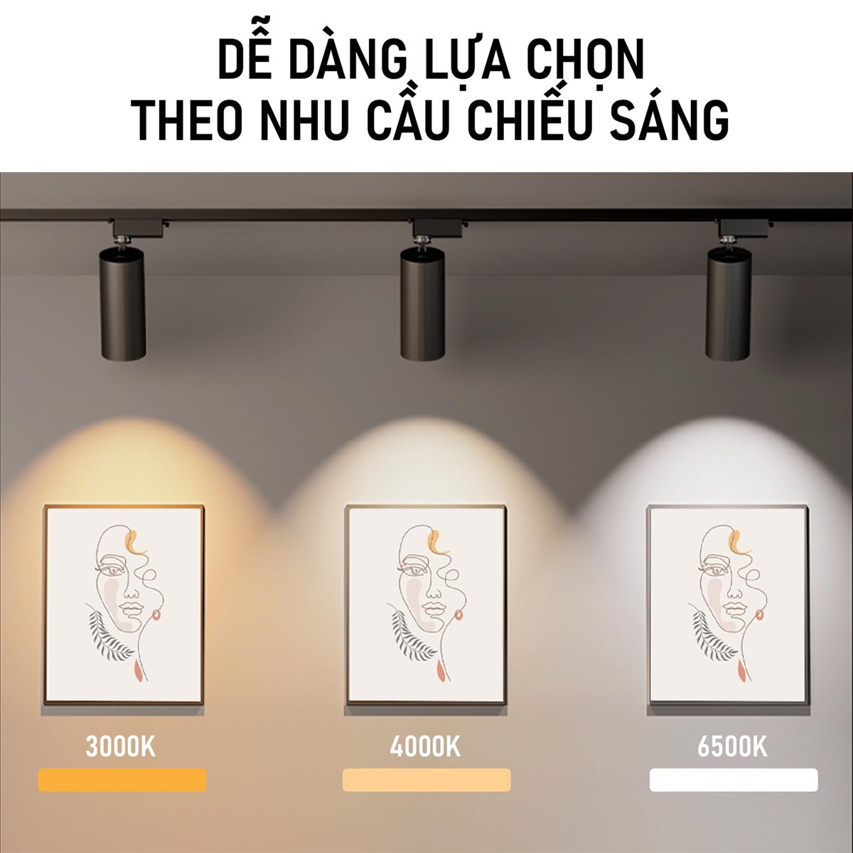 Đèn LED Chiếu Rọi có nhiều chế độ ánh sáng phù hợp theo từng nhu cầu
