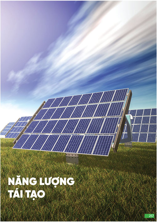 Bảng Giá MPE 2024 mới nhất - Trang 257)