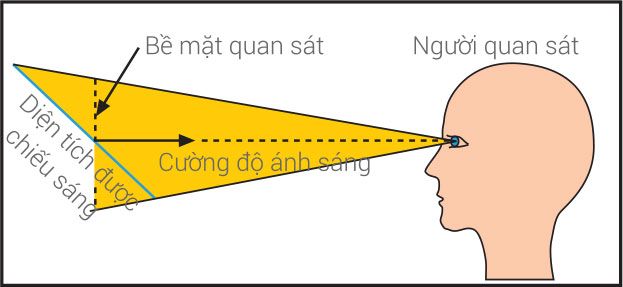 Quang lượng L